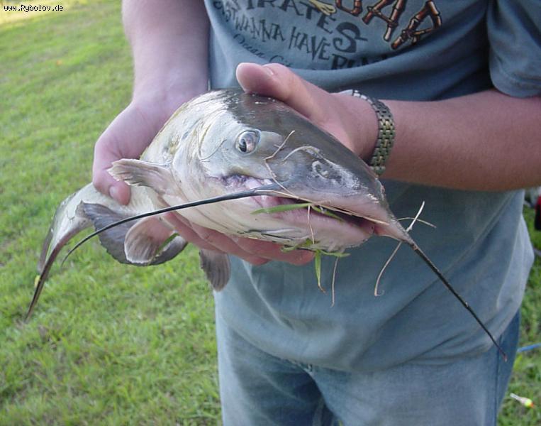 --������� � luxemburg - ������� (����������)