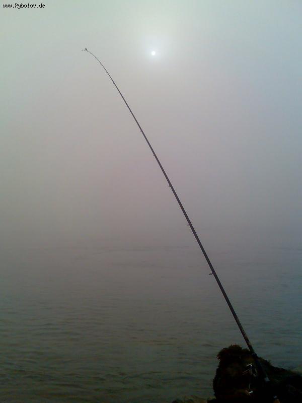 --��������� ����� - ������� (����������)