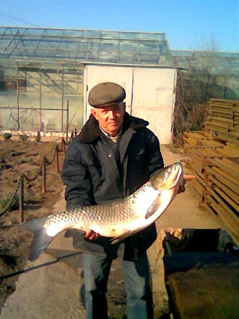 --����� ���� - ������� (����������)