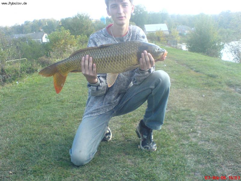 --������� ��� ��... - ������� (����������)