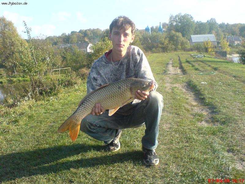 --����� ������ ������.... - ������� (����������)