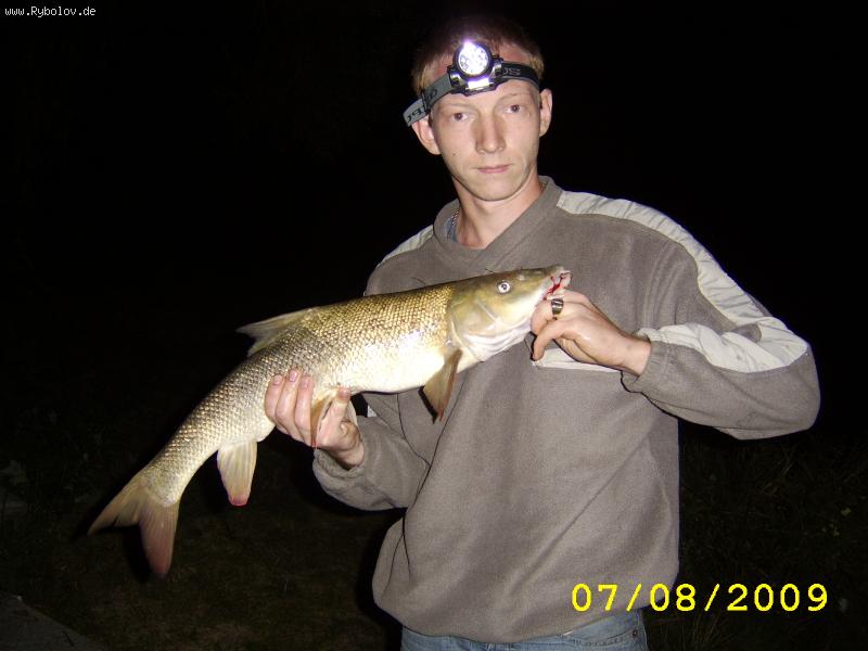 --  Barbe 2.800  68 . -  ()