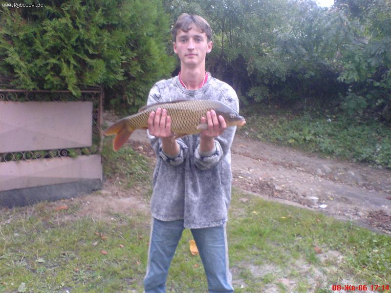 --� ����� ��� ���� ����... - ������� (����������)