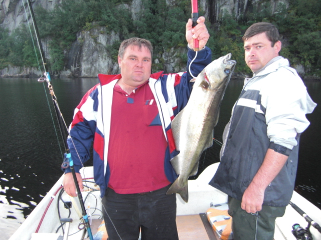 --Norwegen Fedafjord - ������� (����������)