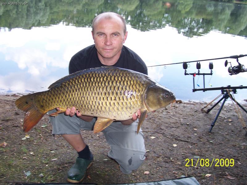 --�����. - ������� (����������)