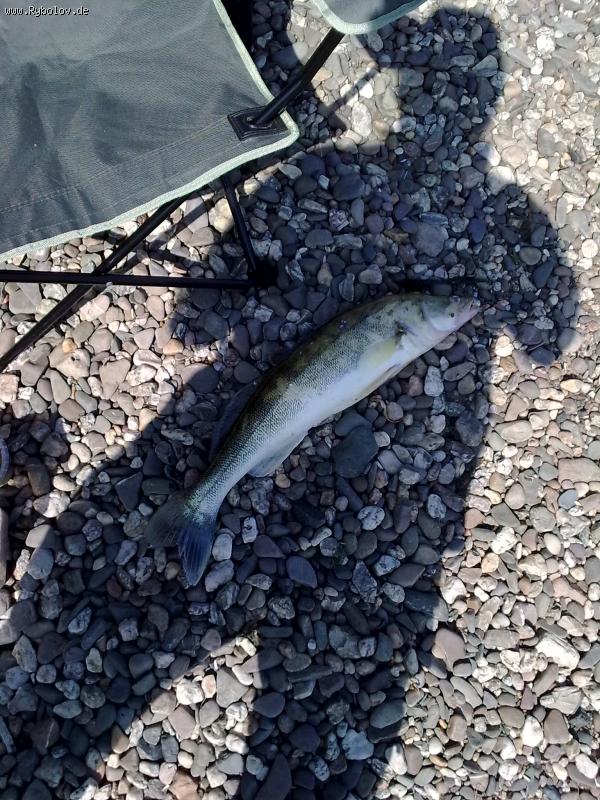 --��� �������� - ������� (����������)