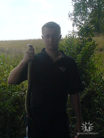 --Aal - ������� (����������)