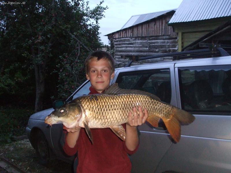 --��� ������ ���� �� 5�� - ������� (����������)