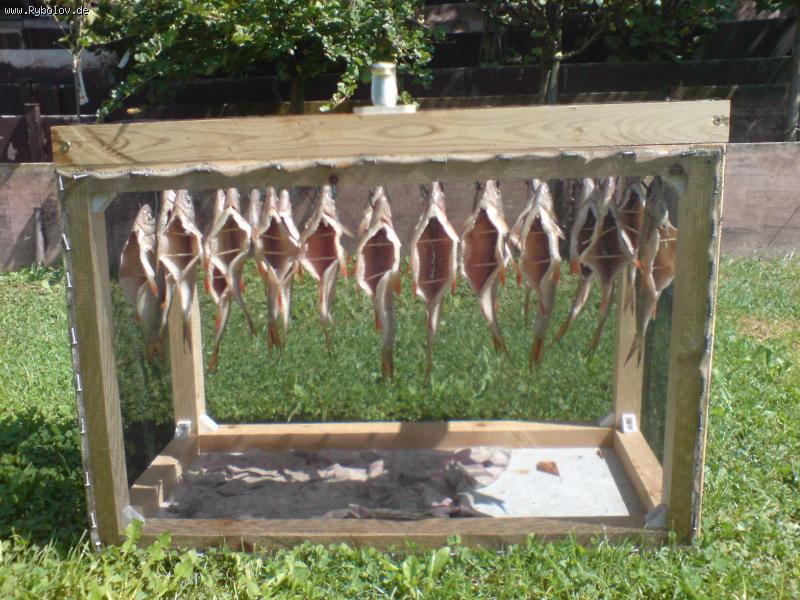 --����� ���� - ������� (����������)