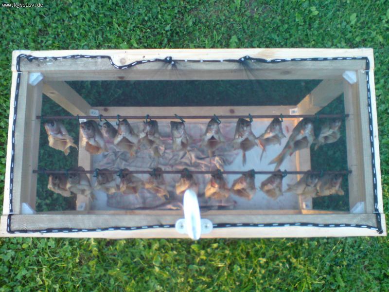 --����� ���� - ������� (����������)