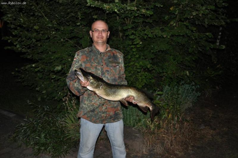 --���� 1 ���� - ������� (����������)