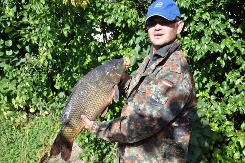 --������ ���� � 2009 - ������� (����������)