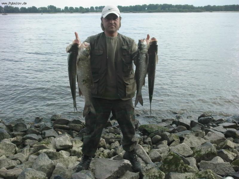 --�� �����. - ������� (����������)