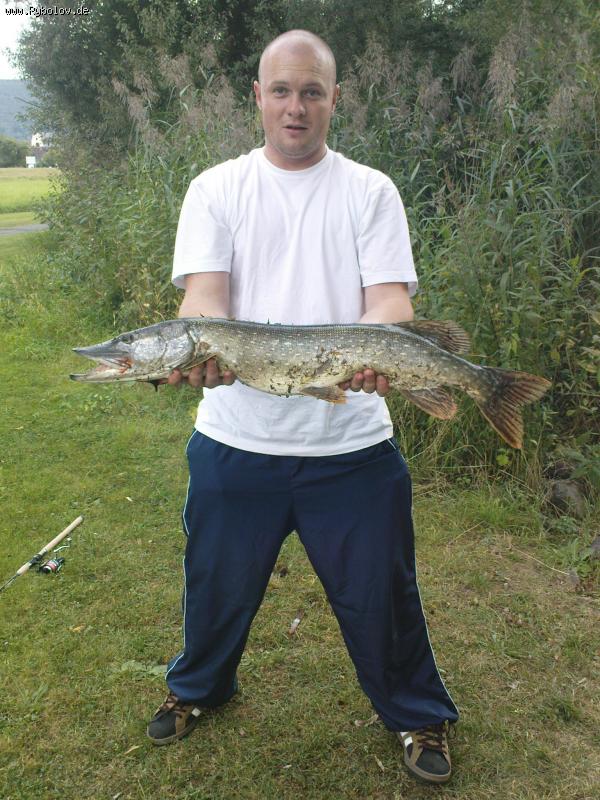 --hecht - ������� (����������)