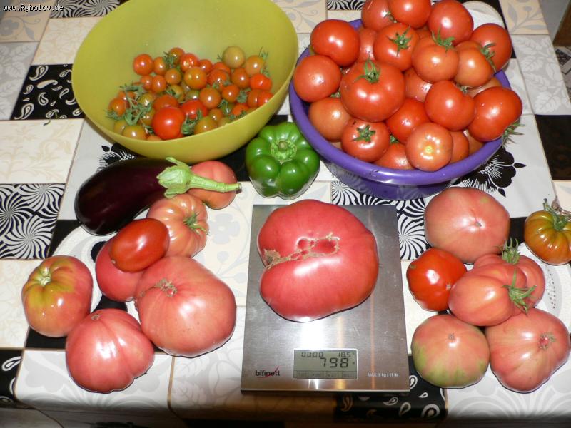 --����,  ����� ������,  798 ��. - ������� (����������)