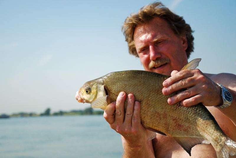 --��������� �����. - ������� (����������)