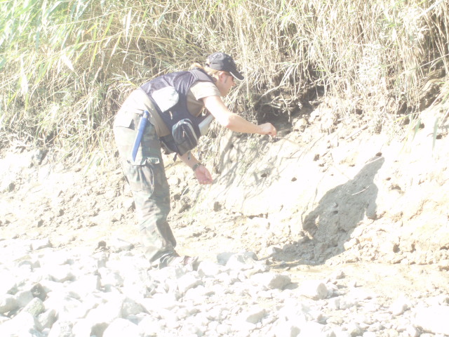 --��� �� ��� ������� ? - ������� (����������)