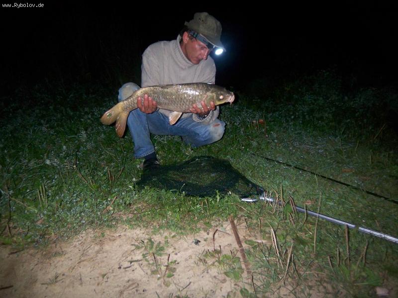 --���� - ������� (����������)