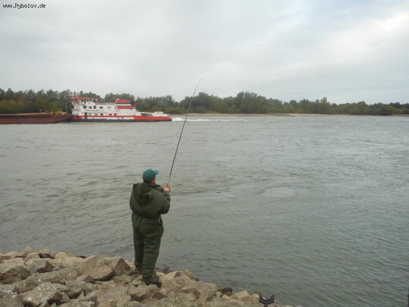 --������ ����. - ������� (����������)