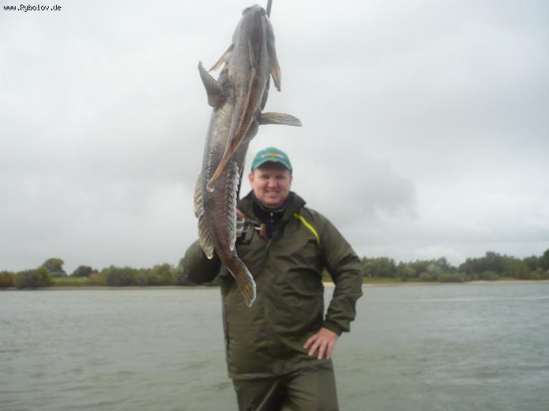 --�����. - ������� (����������)