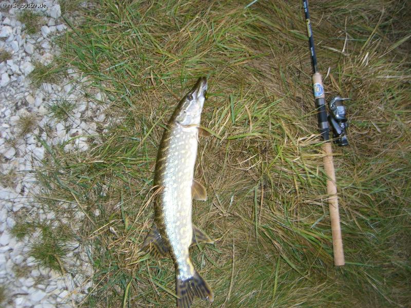 --���������. - ������� (����������)