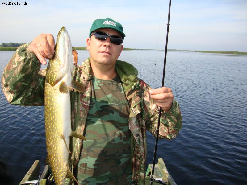 --Korobovka 2009 - ������� (����������)