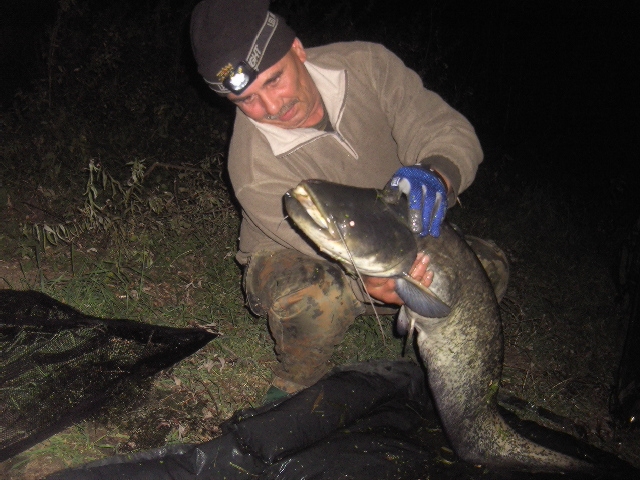 --��������� �� �������� �  ˸�� - ������� (����������)