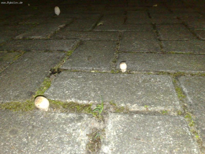 --����� �� �������� 2 - ������� (����������)