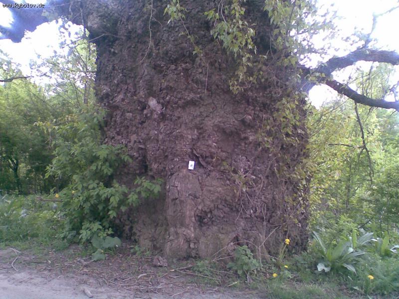 --������ - ������� (����������)