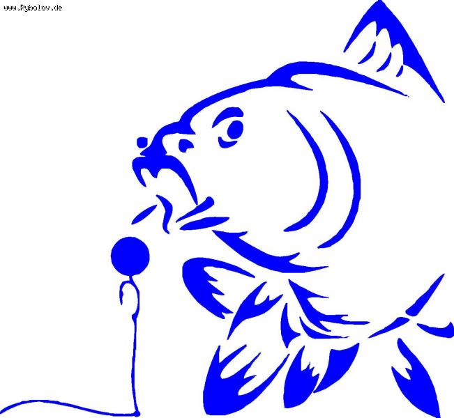 --Carp -  ()