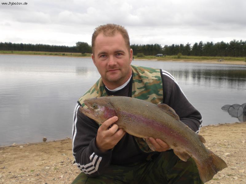 --������� ����� - ������� (����������)