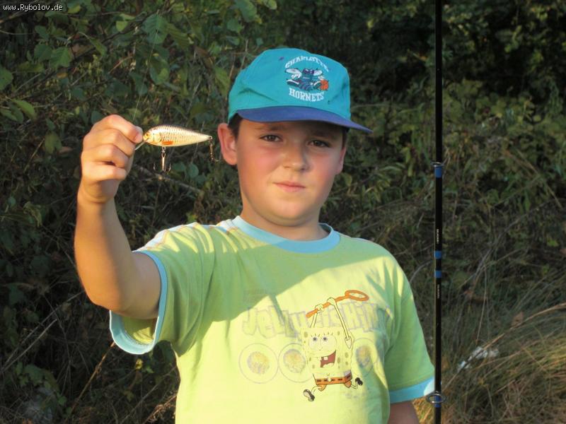 --Wobbler - ������� (����������)