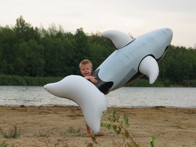 --������ :) - ������� (����������)