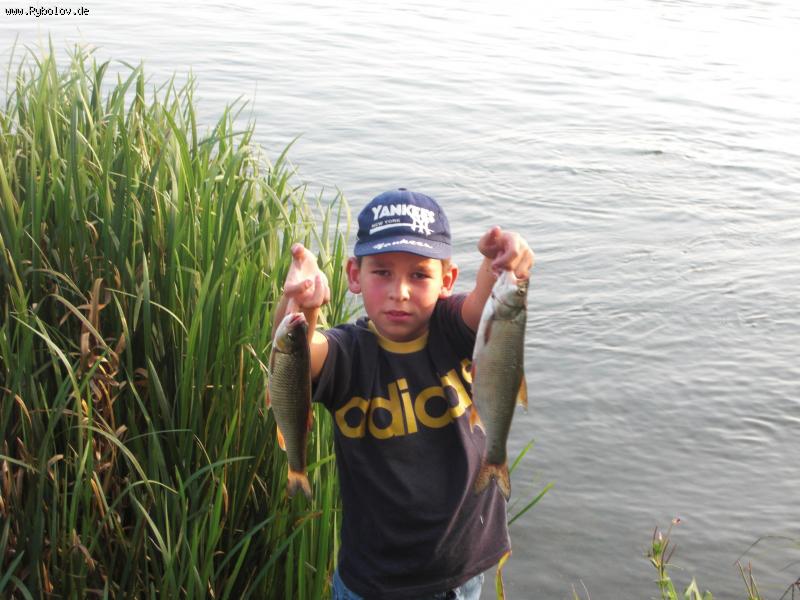 --Plobsheim Stausee -  ()