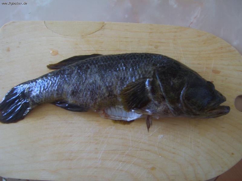 --����� - ������� (����������)