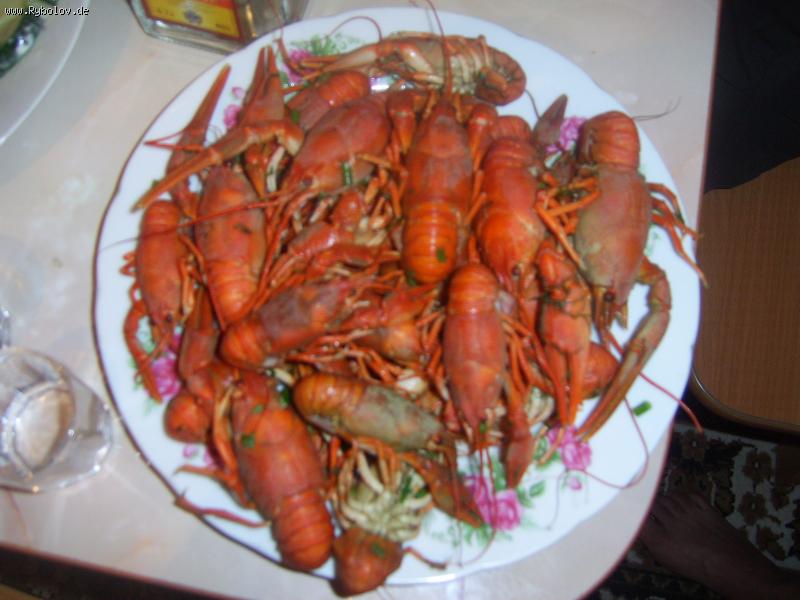 --���� - ������� (����������)