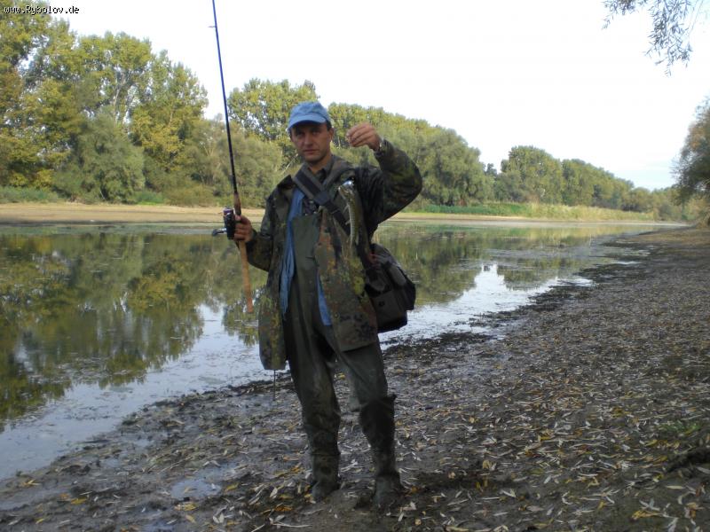 --����� ������� �������� " �� ��� " - ������� (����������)