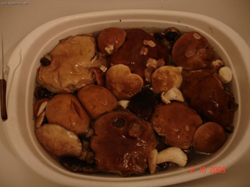 --����� �����.���� ������. - ������� (����������)