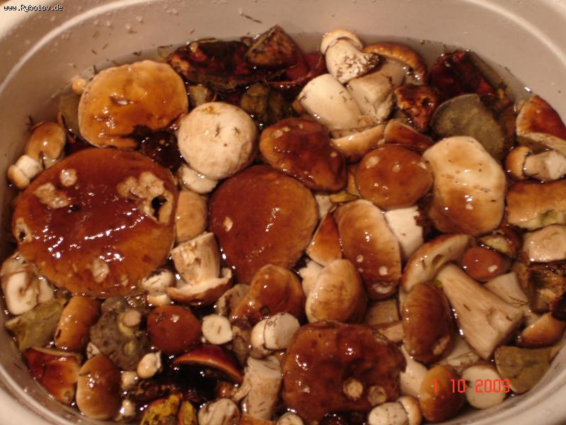 --����� �����.���� ������. - ������� (����������)