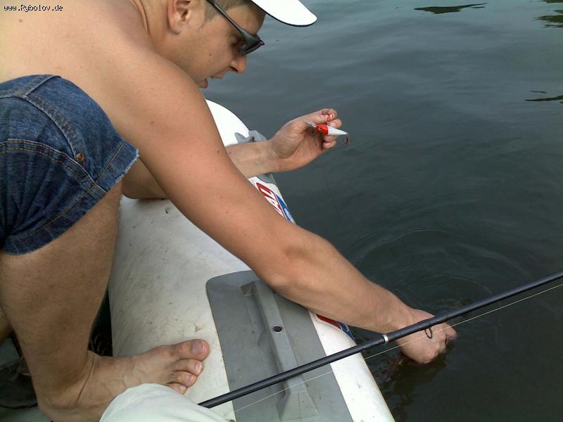 --catch und release -  ()