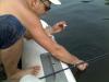 catch und release - ������� (����������)