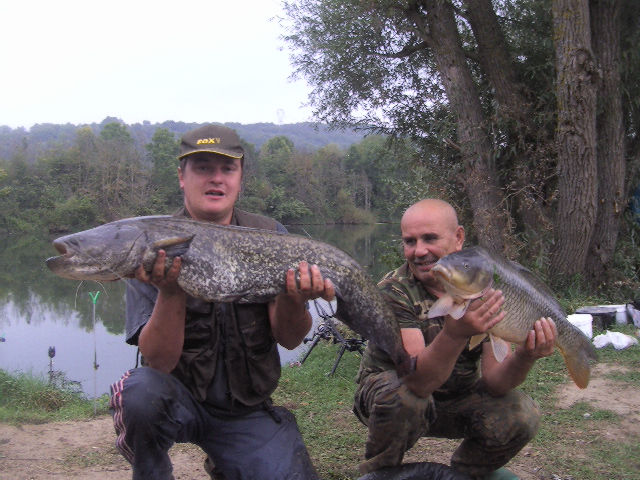 --��� ����� ����������� - ������� (����������)