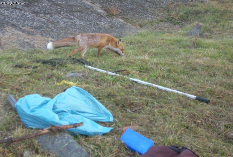 --������� ������ - ������� (����������)