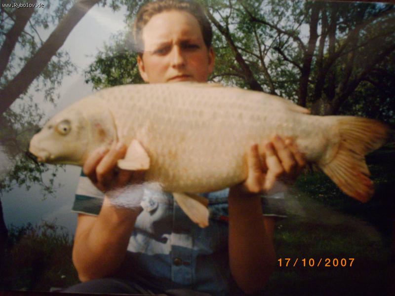 --Belij kak smetana  sabludilsja na Maine -  ()