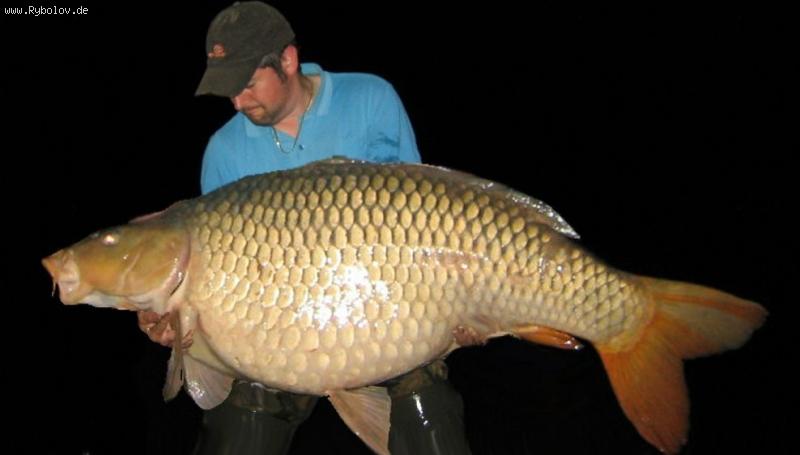 --����� - ������� (����������)