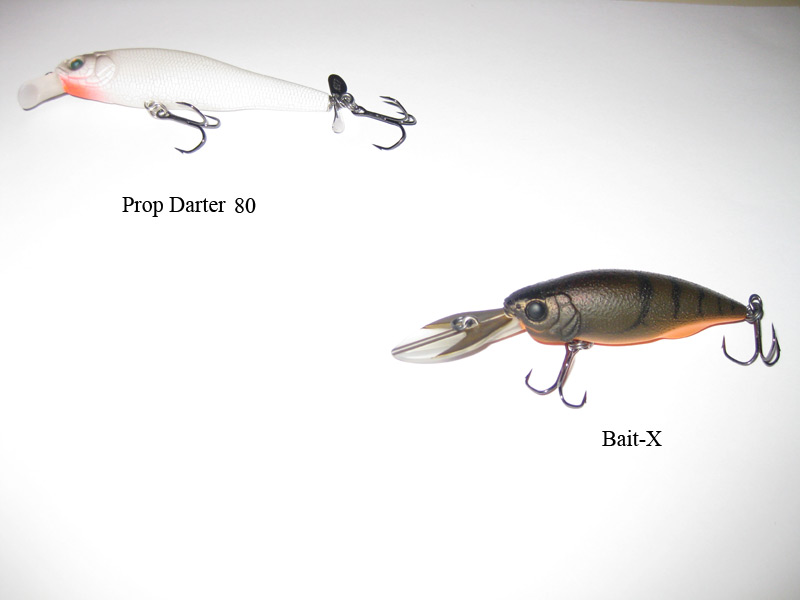 --Megabass -  ()