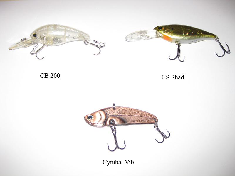 --Lucky Craft - ������� (����������)