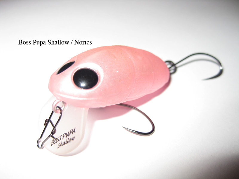 --Nories - Boss Pupa -  ()