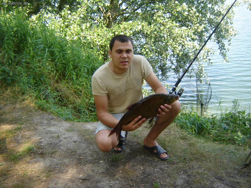 --Frankreich -  ()