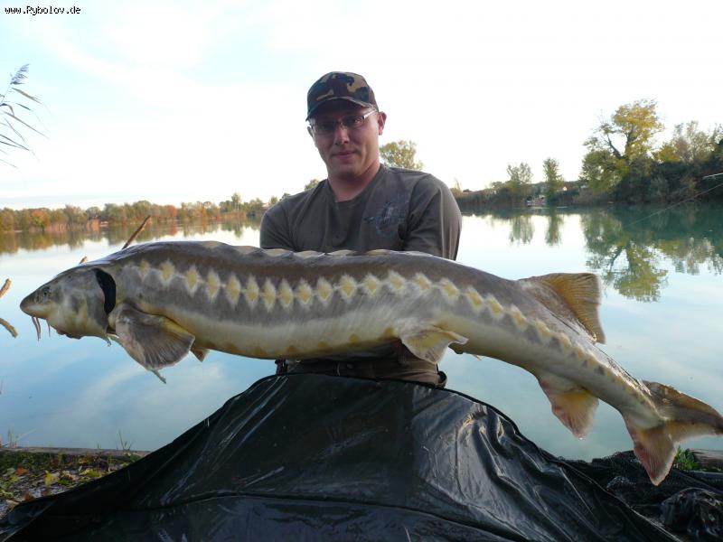 --150/18,4/������ - ������� (����������)